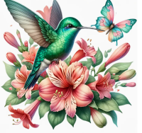 Kolibri